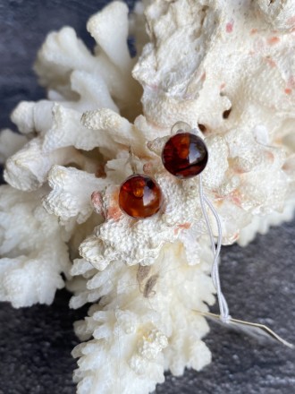 Пропонуємо Вам придбати мініатюрні сережки (пусети) з натурального бурштину. 
Ук. . фото 7