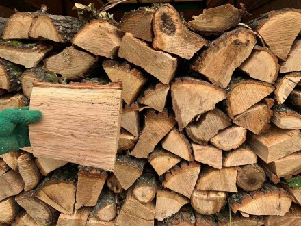 Доставка колотих дубових (саме дубових) дров по Полтаві і області. 

- відпові. . фото 2