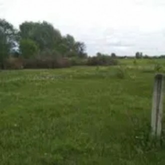 Продам 120 соток под строительство дома в Крюковщине. Крюковщина. фото 1