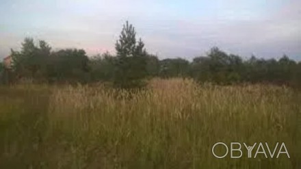 Продам участок в с Юровка 12 соток