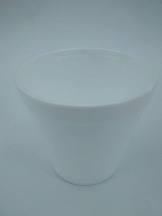 Тарелка из вспененного полистирола - идеальным решением для упаковки сырых или г. . фото 4