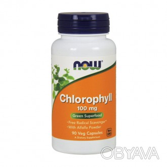 NOW Chlorophyll – это зеленый пигмент, природно вырабатываемый растениями и водо. . фото 1