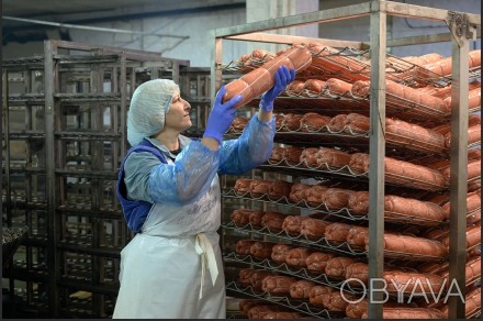 Цех производства колбасных изделий площадью 3900 м.кв включая подвальное помещен. Горняцкий. фото 1