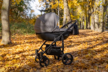 Детская коляска 2 в 1 Angelina Discovery Evolution светло-серый DE-19. Одесса. фото 1 Детская коляска 2 в 1 Angelina Discovery Evolution светло-серый DE-19. Одесса. фото 1