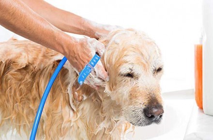 Щетка-душ для собак Pet Bathing Tool.
 
Щетка-душ для собак Pet Bathing Tool - н. . фото 6
