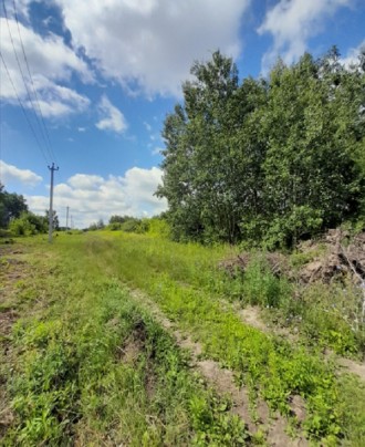 Продажа земли в с. Иванковичи. Киев. фото 1 Продажа земли в с. Иванковичи. Киев. фото 1