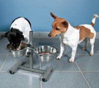 Кормушка для собак (регульований штатив 40 см, миска - 1,5 л) для середніх і дрі. . фото 4