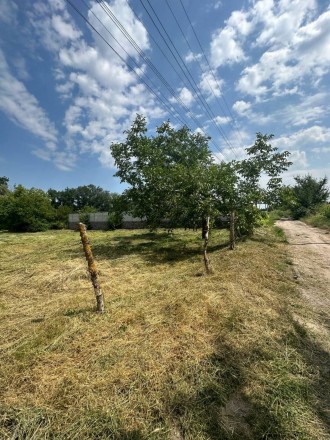 Продажа земли / Садки / 15 соток приватизирована. Кременчук. фото 1