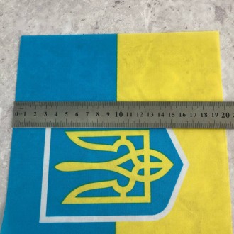 Флаг Украины с тризубом с присоской Материал: пластик, полиэстр Цвет: на фото Пр. . фото 4