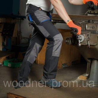 Штани робочі Dexter M - ідеальний вибір для тих, хто займається домашньою робото. . фото 5