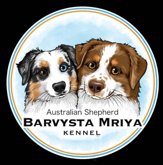 Розплідник Австралійських вівчарок (Ауссі) "Barvysta Mriya" тепер має . . фото 2