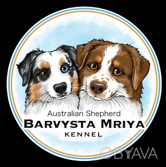Розплідник Австралійських вівчарок (Ауссі) "Barvysta Mriya" тепер має . . фото 1