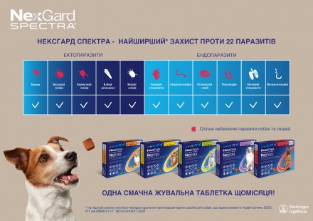 NexGard Spectra — вкусная жевательная таблетка для собак против наиболее р. . фото 4
