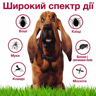 Особенности:
	Уничтожает и отпугивает насекомых от собак
	Эффективен для предотв. . фото 7