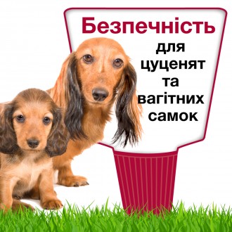 Особенности:
	Уничтожает и отпугивает насекомых от собак
	Эффективен для предотв. . фото 12