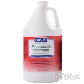 Davis Miconazole Shampoo ДЭВИС МИКОНАЗОЛ шампунь с 2% нитратом миконазола для со. . фото 1