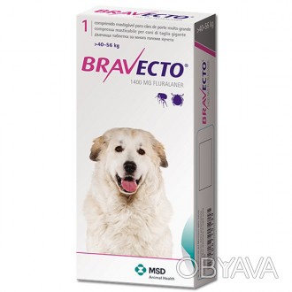Таблетки для собак от блох и клещей БРАВЕКТО работают в качестве защитного средс. . фото 1