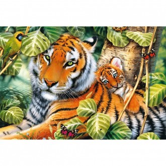 Пазли Trefl Два тигри від виробника Trefl Пазл із двома тиграми на 1500 елементі. . фото 3