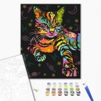 Картина за номерами Космічний кіт від виробника Brushme Картини за номерами стрі. . фото 3