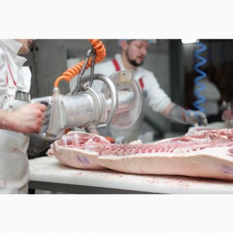Виробник м'яса пропонує свинину оптом за доступною ціною! Наш процес виробн. . фото 4