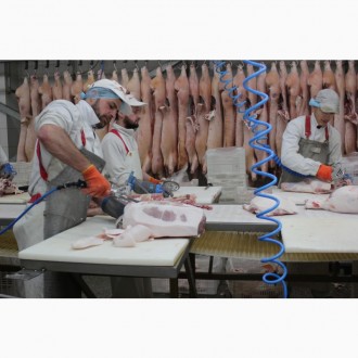 Виробник м'яса пропонує свинину оптом за доступною ціною! Наш процес виробн. . фото 2