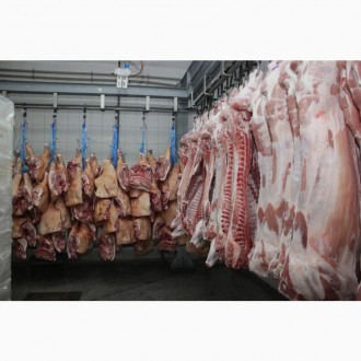 Виробник м'яса пропонує свинину оптом за доступною ціною! Наш процес виробн. . фото 3