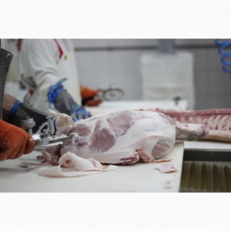 Виробник м'яса пропонує свинину оптом за доступними цінами!

Налагоджений. . фото 6