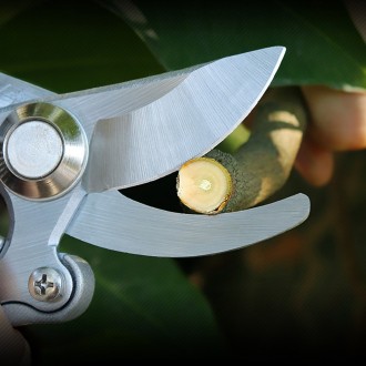 Ножницы садовые ручные являются неотъемлемым инструментом для любого садовода, в. . фото 6
