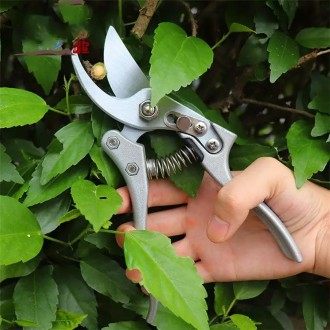 Ножиці ручні садові є невід'ємним інструментом для будь-якого садівника, власник. . фото 11
