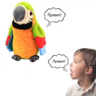 Популярний папуга повторюшка запам'ятовує та відтворює окремі слова, фрази чи пр. . фото 3