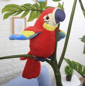 Популярный попугай повторюшка запоминает и воспроизводит отдельные слова, фразы . . фото 4