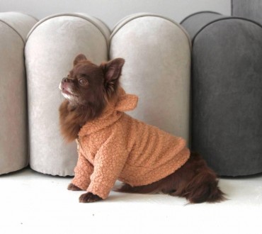 Теплая модная одежда для собак свитер повседневный толстовка баранчик бежевая с . . фото 3