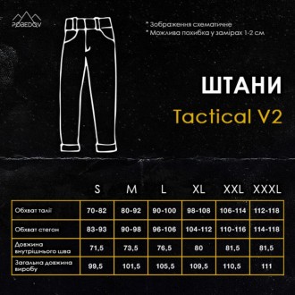 Чоловічі тактичні штани зсу літні Pobedov Tactical V2, військові штани карго з к. . фото 4