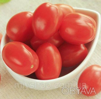 Ранний высокоурожайный гибрид томата (92-94 дня). Плоды массой 65-70 г, округлой. . фото 1
