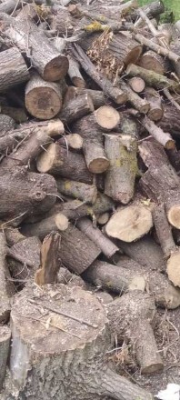 Продам дрова цена договорная. Запоріжжя. фото 1 Продам дрова цена договорная. Запоріжжя. фото 1