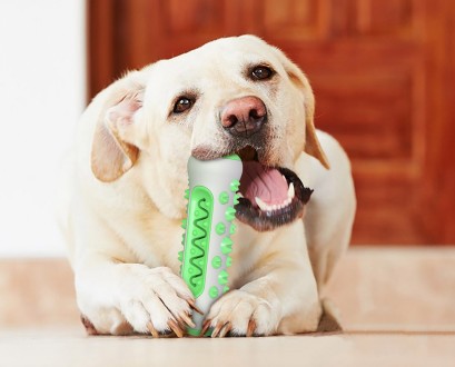 Іграшка для чищення зубів для собак
 Іграшка для чищення зубів для собак виготов. . фото 9