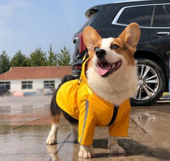 Куртка для собак
Стильна куртка для собак, виконана в мінімалістичному стилі. У . . фото 3