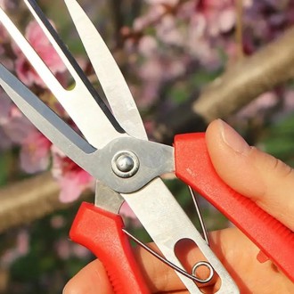 Садовые ножницы - это неотъемлемый атрибут для ухода за деревьями и растениями.
. . фото 3
