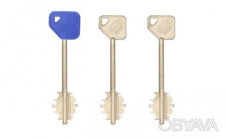 Комплект ключей Potent к замкам серии 7000/8000
 
Potent - набор ключей для замк. . фото 1