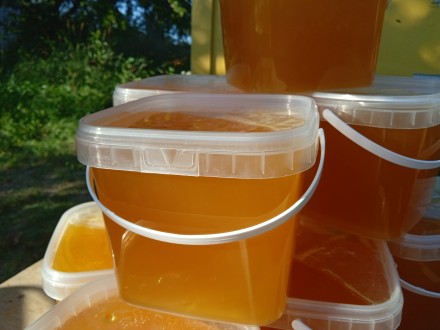 Продам Соняшниковий мед з власної пасіки.
Пасіка розташована на березі річки Ят. . фото 4