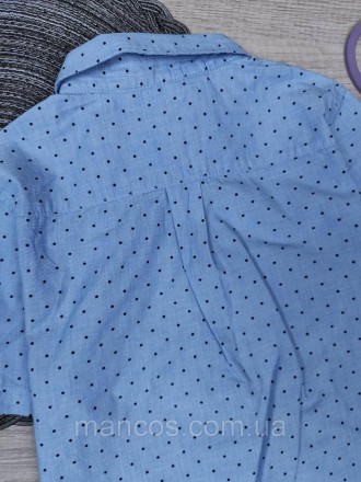 Детская рубашка с коротким рукавом для мальчика H&M голубая с принтом 
Состояние. . фото 8