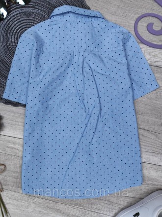 Детская рубашка с коротким рукавом для мальчика H&M голубая с принтом 
Состояние. . фото 7