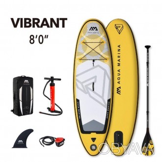 BT-19VIP Доска Vibrant – Youth Isup,2.44m/10cm,with paddle and safety leash. . фото 1