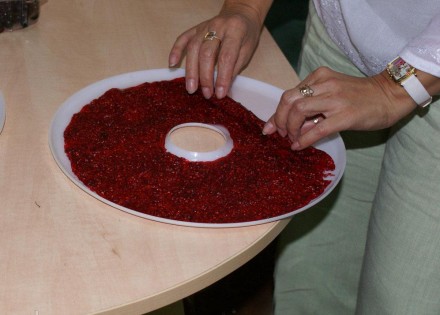 Прочный пищевой пластик создан по белорусским ГОСтам. Подходит к многим сушилкам. . фото 4