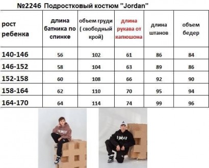 Теплый подростковый костюм "Jordan"
№2246
 
Размеры 140-146,146-152, 164-170
Тка. . фото 6