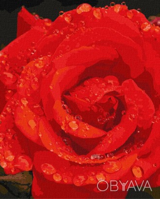 Набор для росписи номеров. "Роза в бриллиантах" 40х50см КНО3207 КНО3207 ish 
Отп. . фото 1