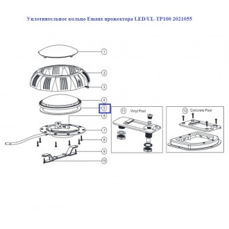 Ущільнювальне кільце Emaux прожектора LED / UL-TP100 2021055.. . фото 3
