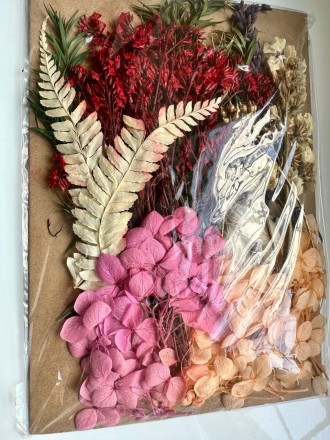 Набор сухих цветов для декора сухоцветы БОЛЬШОЙ 3 (6)
БОЛЬШОЙ !!!
Набор натураль. . фото 3