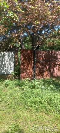 Продам дом з землей в с.Оржица Полтавской обл. 141км от Киева