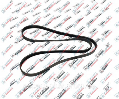 Ремень поликлиновый DAYCO 6PK1795 Aftermarket. Киев. фото 1 Ремень поликлиновый DAYCO 6PK1795 Aftermarket. Киев. фото 1